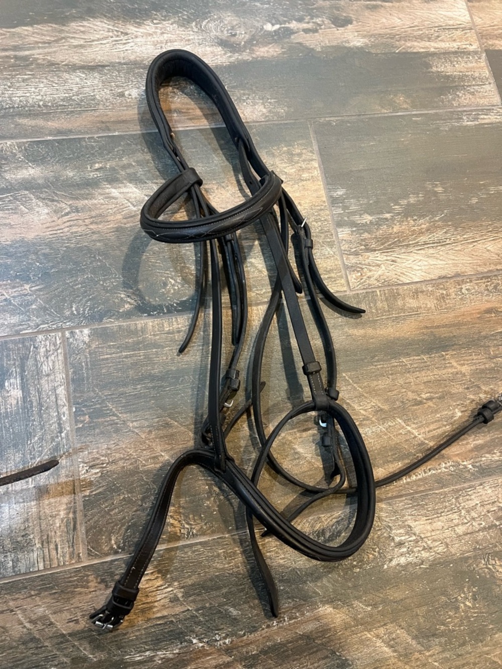 Nunnfinner hunter bridle in Havanna